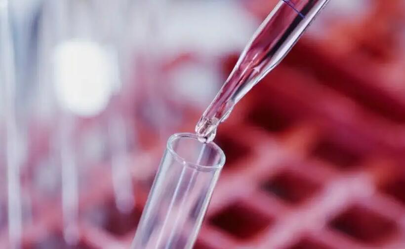 輸卵管堵塞,高齡生子、染色體易位!試管成功案例