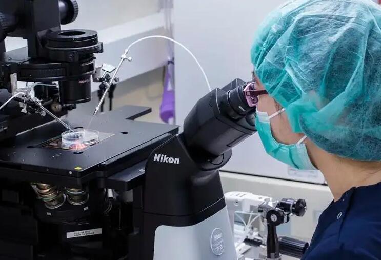 福州私人供卵試管 在福州做試管之前檢查什么項目?這要花多少錢? ‘22周男寶寶的小雞b超怎么看’