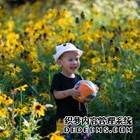 試管是不是都包成功，不成功要退錢的那種？