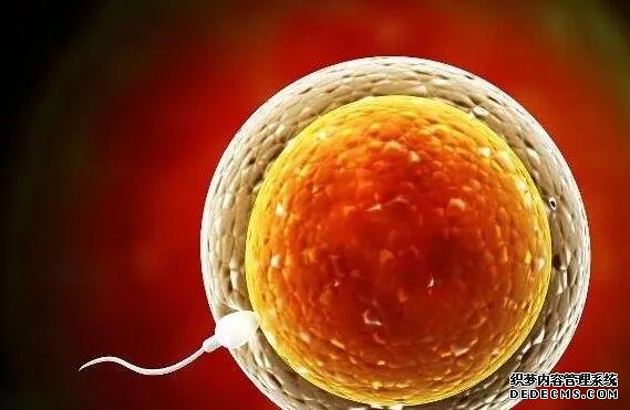 做基因檢測，從西安兒童醫(yī)院送到北京這個路程，檢測的結(jié)果準確嗎？ 2022陜西西安供卵生男孩成功費用清單，附供卵試管醫(yī)院排名 ‘營口伊人26周四維看男女準么’