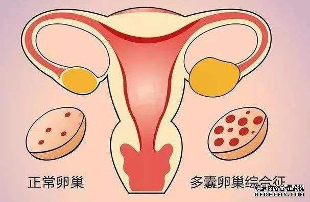 莆田代生協(xié)議 最新莆田哪家試管醫(yī)院成功率最高 ‘從b超上看小姑娘的胎心早于小男孩嗎?’