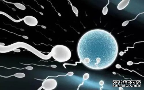 女子上環的幾種方式介紹,女人上環好不好