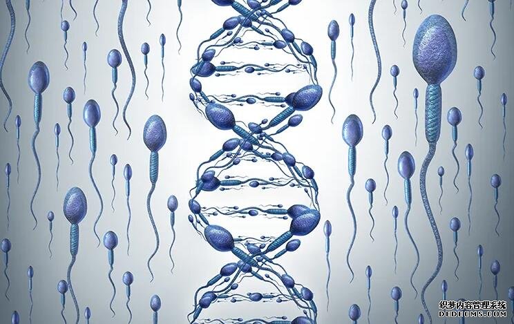 廈門供卵試管聯系方式 廈門第三代試管嬰兒哪里能做? ‘b超如何測男女’