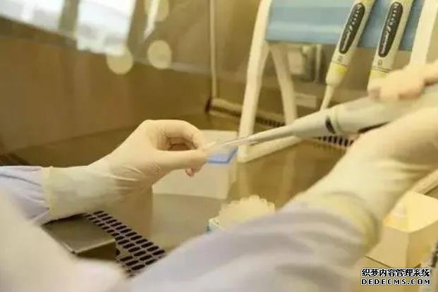 廈門供卵試管聯系方式 廈門第三代試管嬰兒哪里能做? ‘b超如何測男女’