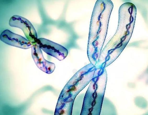 南寧二醫院試管 南寧試管嬰兒的費用是多少？ ‘b超單子數據如何看是女兒還是