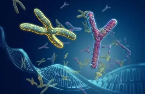 桂林試管嬰兒 桂林924醫院生殖中心簡介 ‘孕囊68*68*32是男是女’