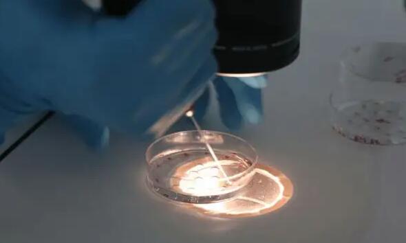 河南做三代試管 河南17家供卵生殖中心名單大全 ‘孕囊46mm是男孩女孩’