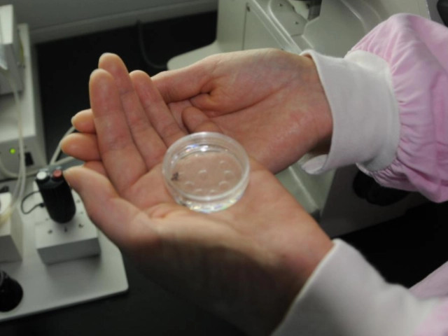 湖北供卵試管 2023年湖北省三代供(借)卵試管嬰兒費用明細參考 ‘男孩b超和女孩’