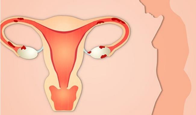 德州供卵試管 德州人民試管誰看的好？如何避免試管嬰兒失敗？ ‘b超如何測男女’