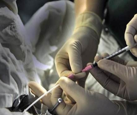 漢中供卵試管 2023漢中做試管嬰兒一次多少錢？ ‘懷女兒跟懷兒子b超區別’