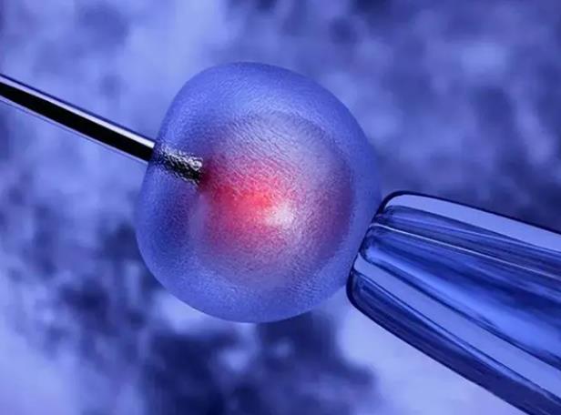 煙臺試管供卵 2023煙臺毓璜頂醫院試管嬰兒成功率一覽 ‘懷男寶的最準八大特征’