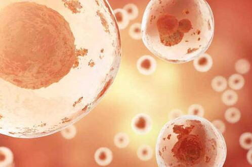 2023
黑龍江生殖中心醫(yī)院試管成功率排名前十的有哪些?