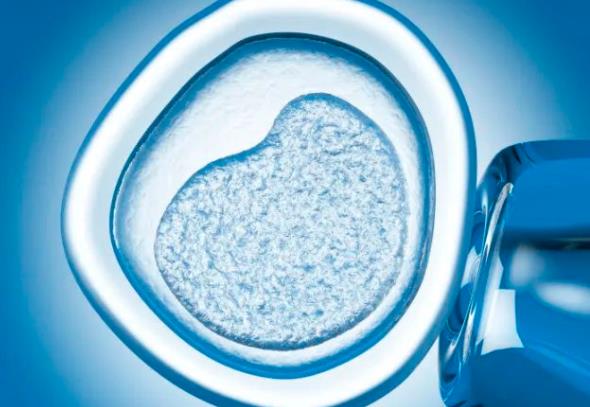 河南試管供卵 2023河南試管嬰兒醫(yī)院排名 ‘胎囊16*11*15是男孩女孩’