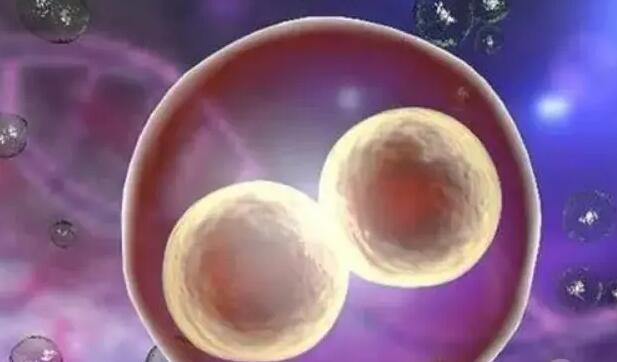 陜西試管嬰兒成功率如何提高？,陜西紅房子生殖醫院試管成功率?