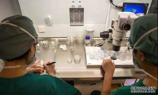 江蘇助孕網生孩子 2022江蘇供精試管醫院排名 ‘胎兒nt是男孩子的b超圖’