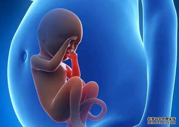 生精膠囊懷孕期間可以吃嗎,生精膠囊功效好不好