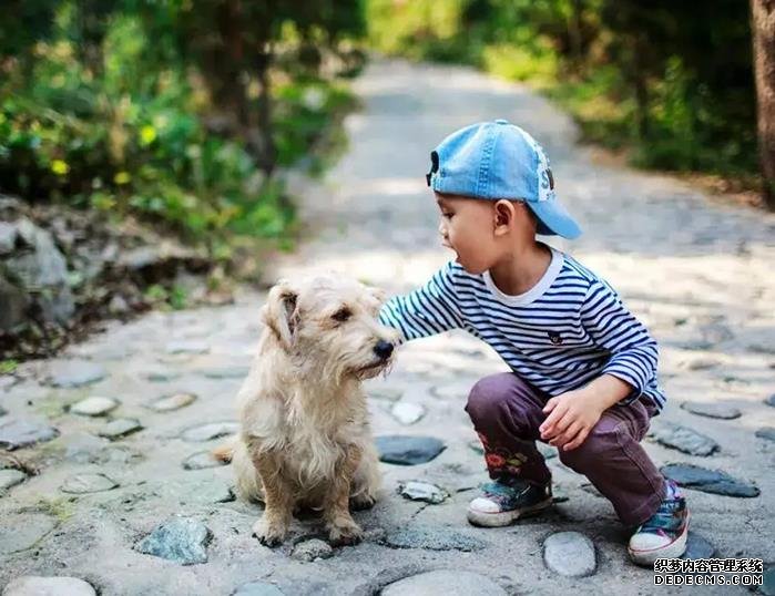 哈爾濱供卵試管過程 哈爾濱三代供卵生男孩醫院 ‘四維彩超通過胎心率可以看出男女嗎’