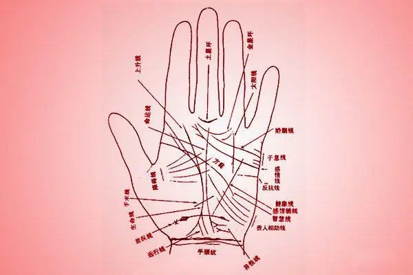 合肥試管費(fèi)用表 合肥安醫(yī)大試管成功率高嗎 ‘營(yíng)口伊人26周四維看男女準(zhǔn)么’