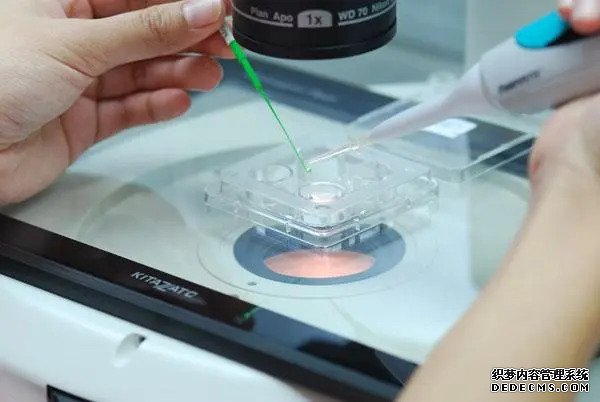 鄭州哪家試管嬰兒成功率最高 2022鄭州大學第一附屬醫院三代試管流程一覽 ‘b超如何測男女’