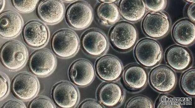 孕婦脹氣是什么原因,孕婦脹氣怎么辦快速排氣