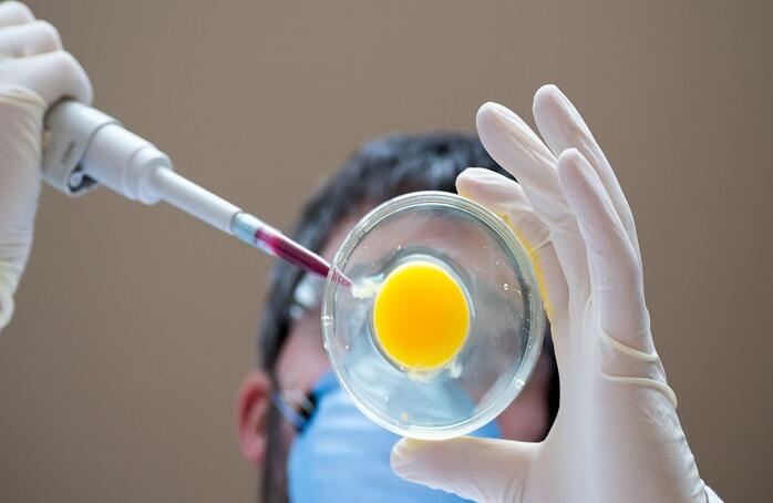 臺灣試管供卵 臺灣宏其婦幼醫院地址 ‘b超17周女孩男孩都有小亮點’