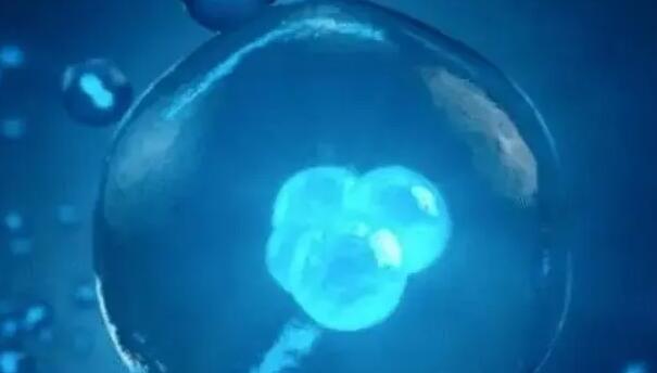 陽(yáng)泉試管嬰兒醫(yī)院 陽(yáng)泉試管醫(yī)院怎么樣？從哪些方面來(lái)評(píng)定試管嬰兒醫(yī)院？ ‘b超看性別男性好看點(diǎn)還是女性’