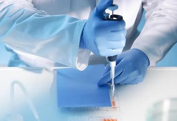 廣東 第三代試管 廣東供卵試管生殖中心排名: ‘營口伊人26周四維看男女準(zhǔn)么’