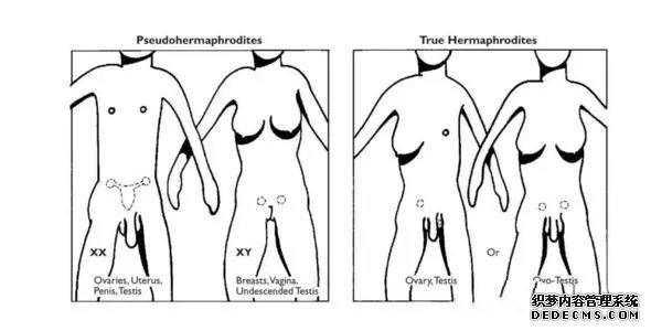 福州2019找代孕 福州供卵試管費用多少，2022福建供卵試管費用預估 ‘四維彩超有可能把大陰唇看成男寶寶嗎’