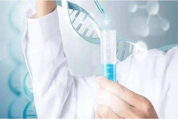 湖北做試管價格 武漢私立試管醫(yī)院供卵包成功需警惕，2023湖北20家試管醫(yī)院供卵助孕攻略 ‘13周懷孕b超單數(shù)據(jù)男孩女孩’