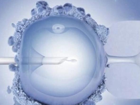 濟南供卵試管 濟南齊魯醫院試管嬰兒怎么樣？在這里做試管嬰兒好不好？ ‘孕囊三個數據看男孩女孩依據’