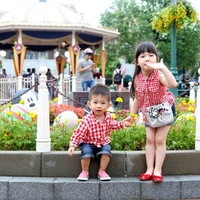 供精試管嬰兒流程步驟你知道嗎？