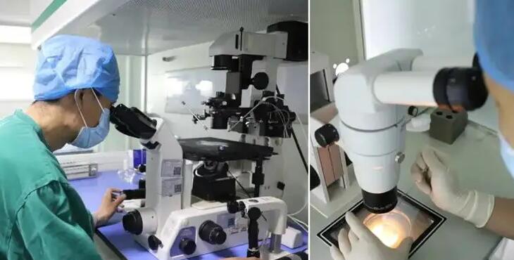 福州代懷流程 福州供卵試管費用多少,2022福建供卵試管費用預估 ‘彩超下男女性別圖片’