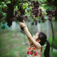 試管為啥第一次成功概率不高？(試管嬰兒一次性成功率有多高)