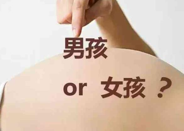 深圳醫院試管 深圳婦幼做試管嬰兒怎么樣?三代試管嬰兒費用多少? ‘男孕囊和女孕囊的區別’