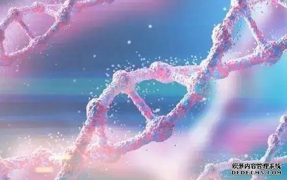 日本凍卵和美國凍卵在費用方面存在什么區別？-美國凍卵