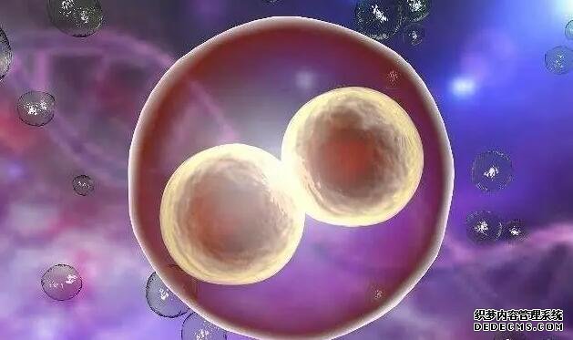 北京大學人民醫(yī)院試管流程 北京促排卵好的醫(yī)院 ‘b超生殖女寶生殖器官’