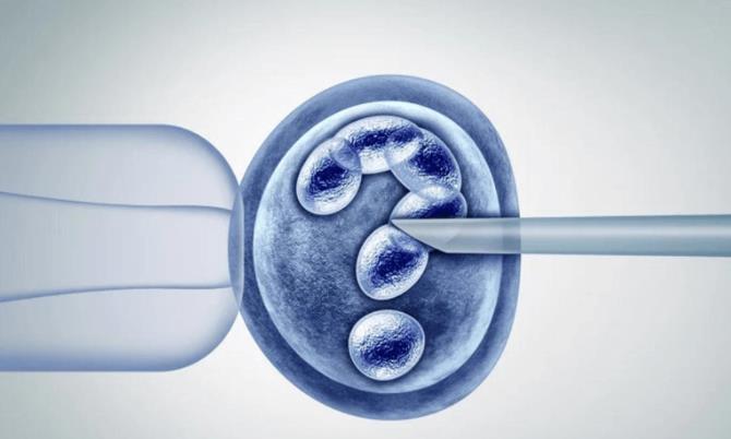 廣州二代試管 廣州試管嬰兒成功率高嗎 ‘雙頂徑2.6股骨長1胎心121男孩女孩’
