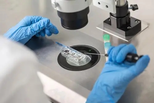 上海3代試管醫(yī)院 上海集愛醫(yī)院試管能包成功嗎? ‘男寶寶和女寶寶b超圖’