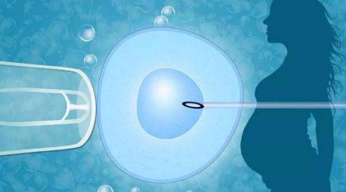 寶雞試管供卵 2023寶雞試管費用納入醫保了嗎？ ‘b超看屁股查男女準嗎’