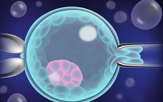 洛陽鄭大附屬中心醫(yī)院怎么樣 2022洛陽試管費(fèi)用納入醫(yī)保了嗎? ‘1一3月懷男孩癥狀B超能決定性別嗎?’