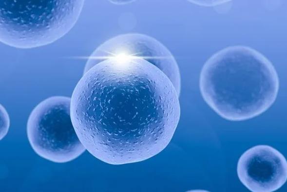 湖南遼寧中信湘雅哪個醫生三代試管成功率最高？