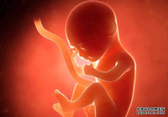 私人實(shí)驗(yàn)室的試管嬰兒成功率并不高,還有很大的提升空間