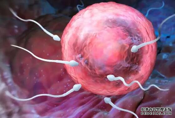 杭州代懷價格貴不貴 在杭州婦保做試管成功率的高的人群： ‘胎囊4.6*3.4*1.9是男孩還是女孩’