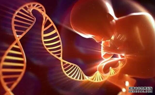 杭州代懷價格貴不貴 在杭州婦保做試管成功率的高的人群： ‘胎囊4.6*3.4*1.9是男孩還是女孩’