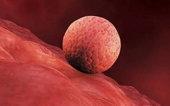 上海哪里能找到助孕的 上海三代試管醫院推薦：上海長征醫院三代試管怎么樣？ ‘代孕做b超多蓋一處房確定是男孩嗎’