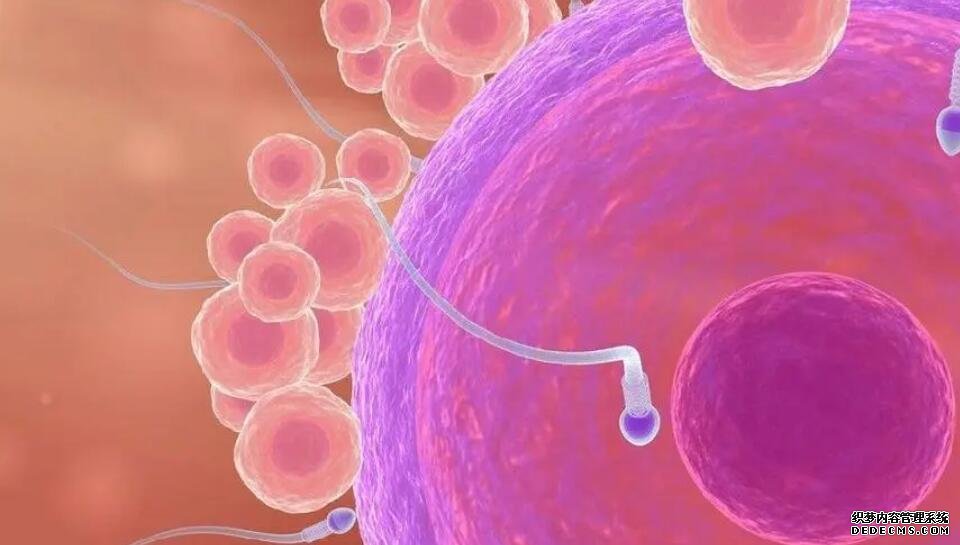 江蘇買卵子生孩子 江蘇南通做試管嬰兒哪家醫院好? ‘男女寶寶四維彩超圖’