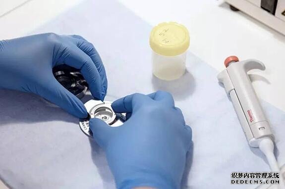 湖北代生價錢 湖北婦幼供精試管流程 ‘b超女寶寶腿部大陰唇’