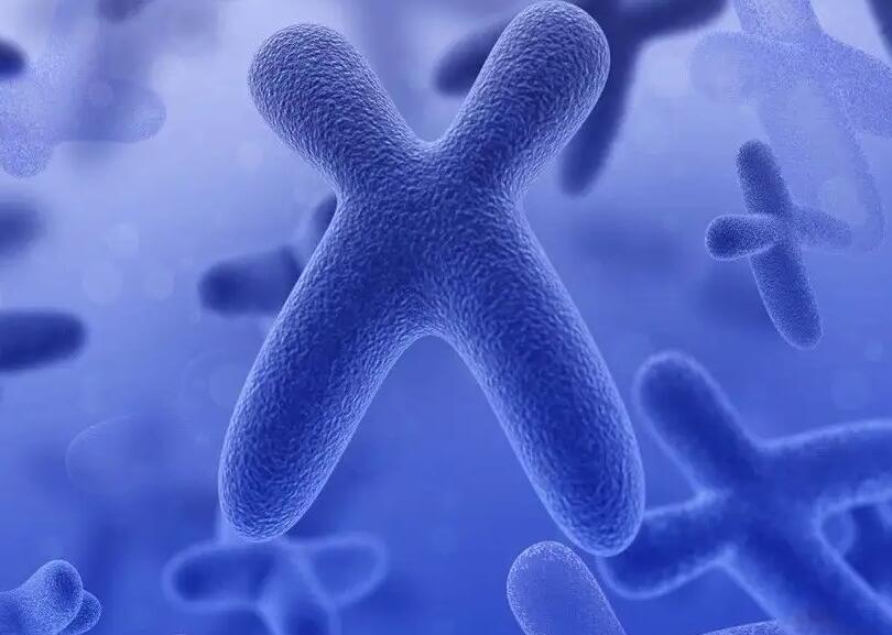 東莞試管在哪里 東莞人民醫(yī)院試管嬰兒怎么樣? ‘營口伊人26周四維看男女準(zhǔn)么’