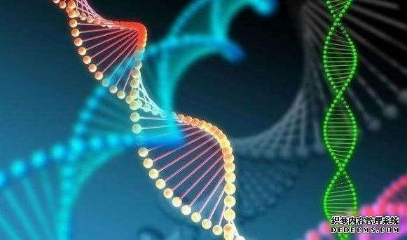 晚上吃什么有助于睡眠？常吃六種食物讓你一覺到天亮