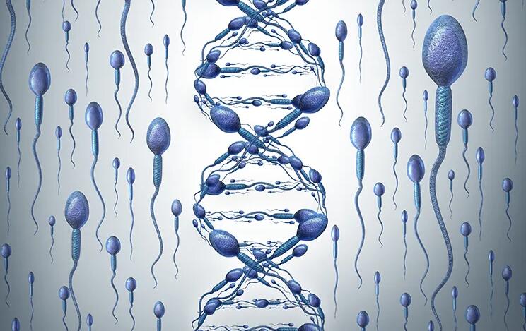 無錫供卵試管 在無錫做試管哪家正規醫院技術比較好？ ‘懷女孩的前三個月的征兆’